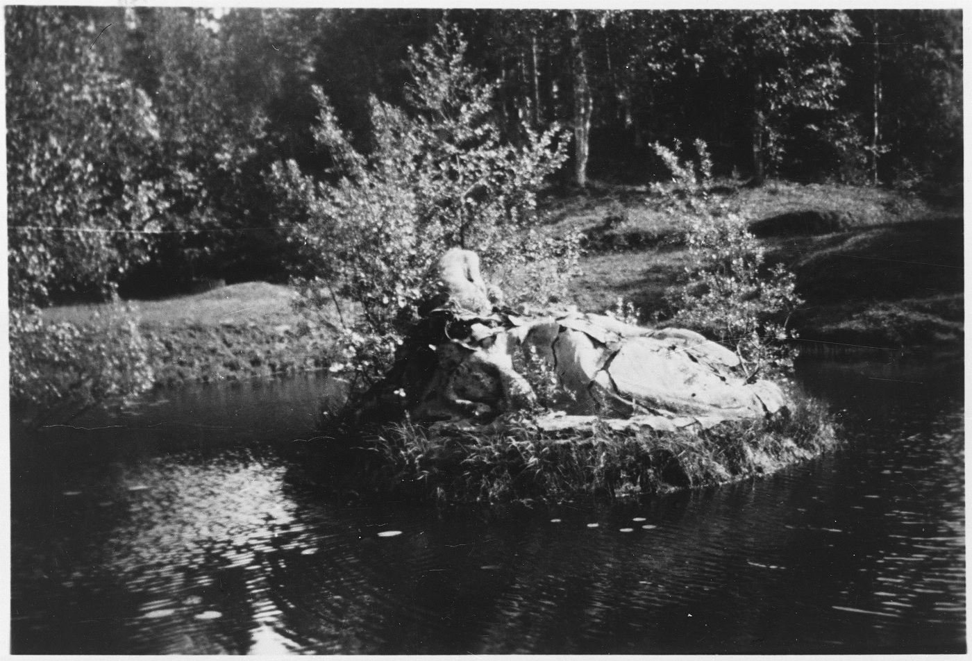 усадьба Арронга.  остров с фонтаном -Русалка- 1938г. разрушен.jpg