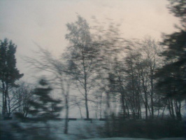 28. Зимний туман. 21 февраля 2003 г.
