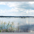 3. Лемболовское озеро (снято со стороны Керро - июль 2002)