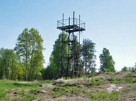 Paltsevo_2010-4