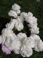 Благотворительная акция "Белый цветок"