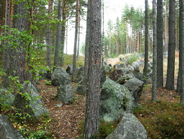 Sakkola-Noitermaa-5.jpg