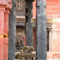 nepal-016