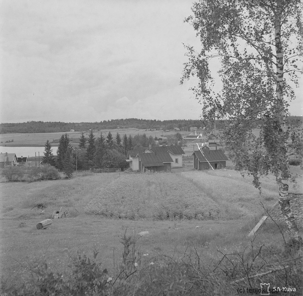 43_Kuokkaniemi 1943_08_10.jpg