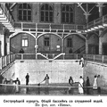 Нива Сестрорецкий курорт 1902-30-1
