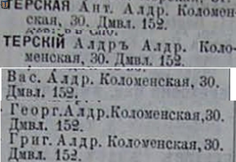 Рис.11. Терские «Весь Петербург» 1905 г.